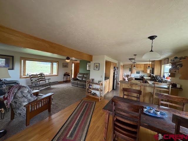 250 Pashuta Dr, Gunnison, CO 81230 - dining room featuring healthy amount of natural light, light wood-style floors, and a textured ceiling