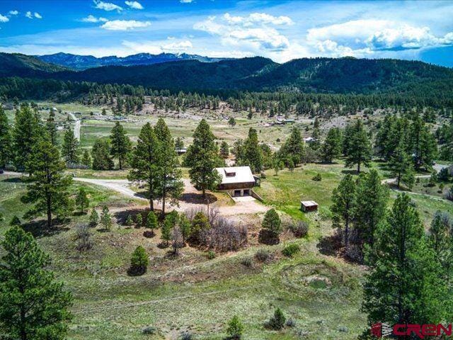157 S Primrose Ridge Pl, Pagosa Springs, CO 81147 - mountain view