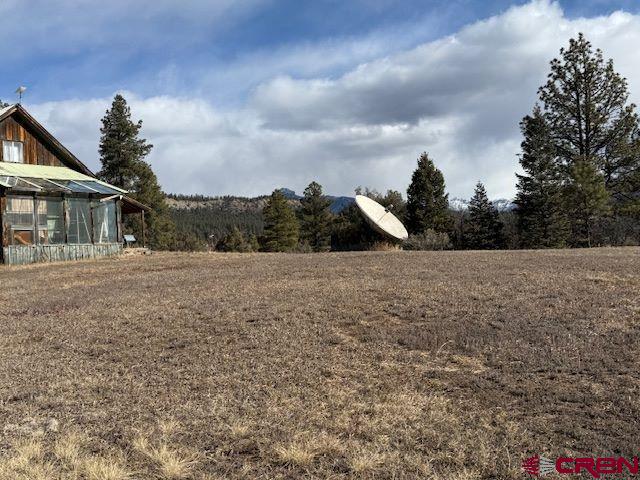 157 S Primrose Ridge Pl, Pagosa Springs, CO 81147 - view of yard featuring an exterior structure and an outdoor structure