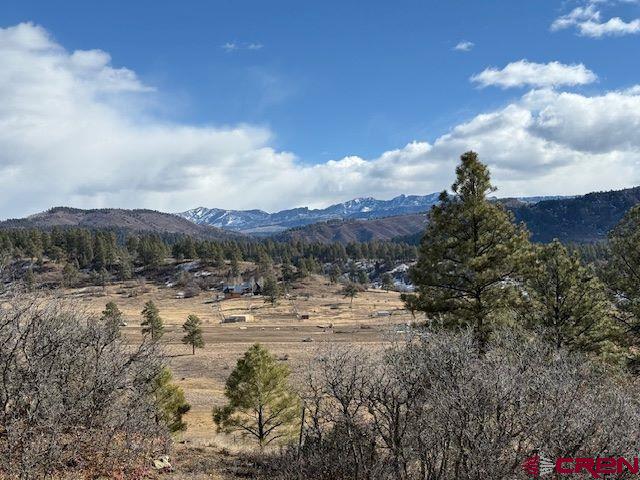 157 S Primrose Ridge Pl, Pagosa Springs, CO 81147 - mountain view