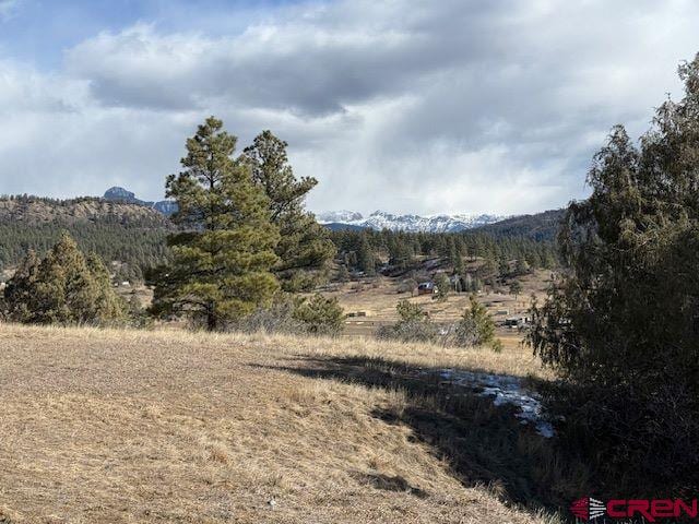 157 S Primrose Ridge Pl, Pagosa Springs, CO 81147 - view of nature featuring mountains