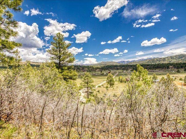 157 S Primrose Ridge Pl, Pagosa Springs, CO 81147 - view of mountain backdrop