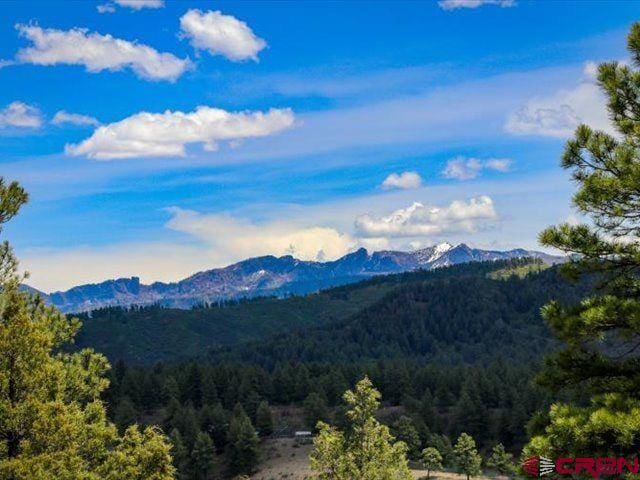 157 S Primrose Ridge Pl, Pagosa Springs, CO 81147 - mountain view featuring a heavily wooded area