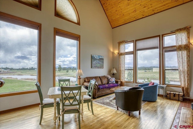 88 W Peregrine Cir Unit 4Unit 1, Pagosa Springs, CO 81147 - living room featuring light wood-style flooring, wood ceiling, high vaulted ceiling, and baseboards