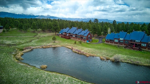 88 W Peregrine Cir Unit 4Unit 1, Pagosa Springs, CO 81147 - view of subject property featuring a water and mountain view and a forest