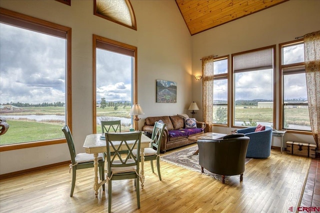 88 W Peregrine Cir Unit 4Unit 1, Pagosa Springs, CO 81147 - living room with vaulted ceiling, light wood-style flooring, baseboards, and wooden ceiling