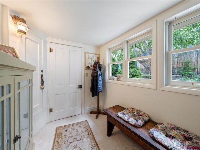 445 4th St, Ouray, CO 81427 - mudroom featuring light carpet