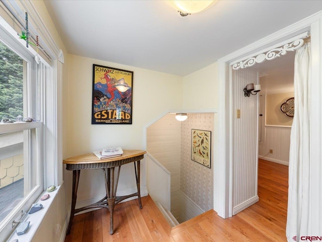 445 4th St, Ouray, CO 81427 - hallway featuring wood finished floors, a wainscoted wall, and baseboards