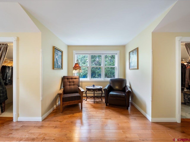 445 4th St, Ouray, CO 81427 - living area featuring a baseboard radiator, light wood finished floors, and baseboards