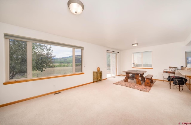 416 Amy Way, Ridgway, CO 81432 - rec room with carpet floors, plenty of natural light, and baseboards