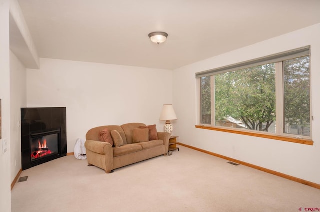 416 Amy Way, Ridgway, CO 81432 - carpeted living room with baseboards and a fireplace