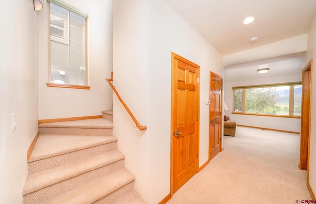 416 Amy Way, Ridgway, CO 81432 - stairway featuring carpet, baseboards, and recessed lighting