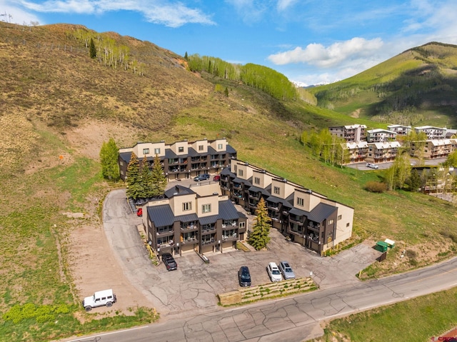 15 Marcellina Ln # 120, Mount Crested Butte, CO 81225 - drone / aerial view of a mountainous background