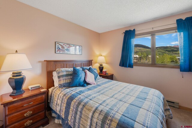 15 Marcellina Ln # 120, Mount Crested Butte, CO 81225 - carpeted bedroom with a baseboard radiator and a textured ceiling