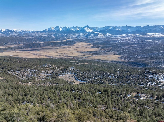 TBDTRACT7 Old Relay Rd, Ridgway, CO 81432