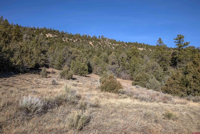 TBDTRACT7 Old Relay Rd, Ridgway, CO 81432