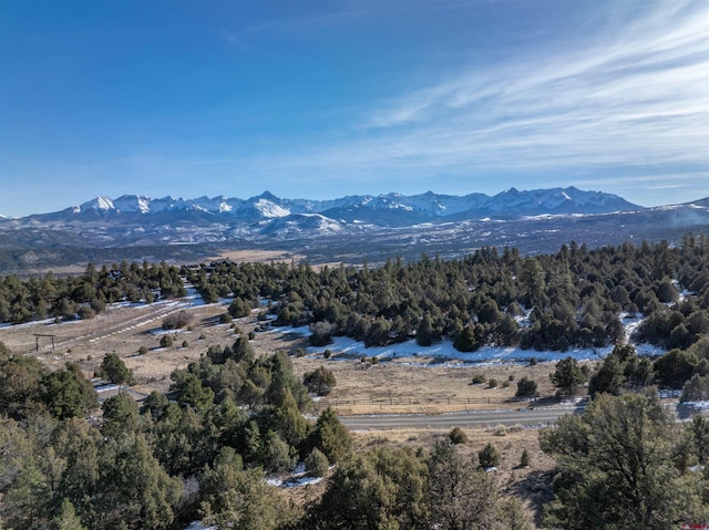 TBDTRACT7 Old Relay Rd, Ridgway, CO 81432