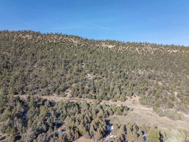 TBDTRACT7 Old Relay Rd, Ridgway, CO 81432