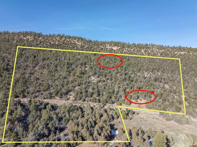 TBDTRACT7 Old Relay Rd, Ridgway, CO 81432