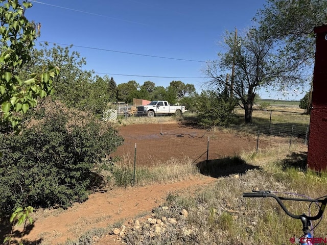 1010 N Dove St, Dove Creek, CO 81324 - view of yard