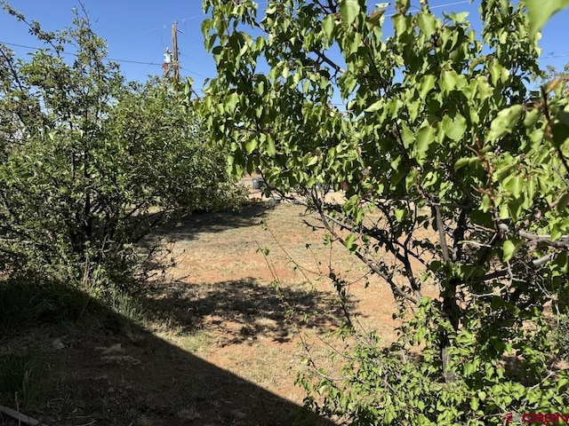 1010 N Dove St, Dove Creek, CO 81324 - view of local wilderness