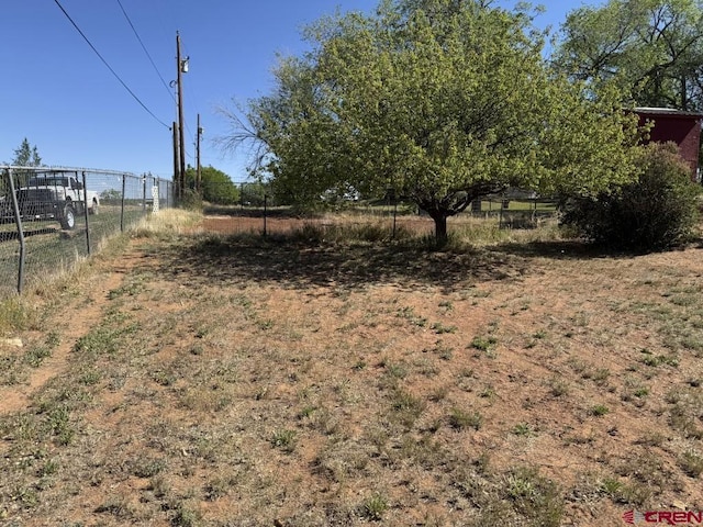 1010 N Dove St, Dove Creek, CO 81324 - view of yard