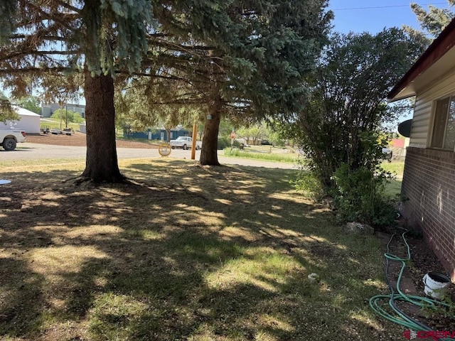 1010 N Dove St, Dove Creek, CO 81324 - view of yard