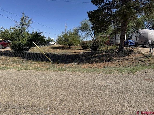 1010 N Dove St, Dove Creek, CO 81324 - view of yard