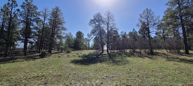 225 Badger Trl, Ridgway, CO 81432