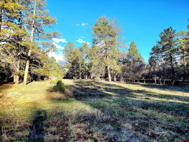 225 Badger Trl, Ridgway, CO 81432