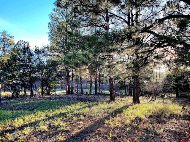 225 Badger Trl, Ridgway, CO 81432