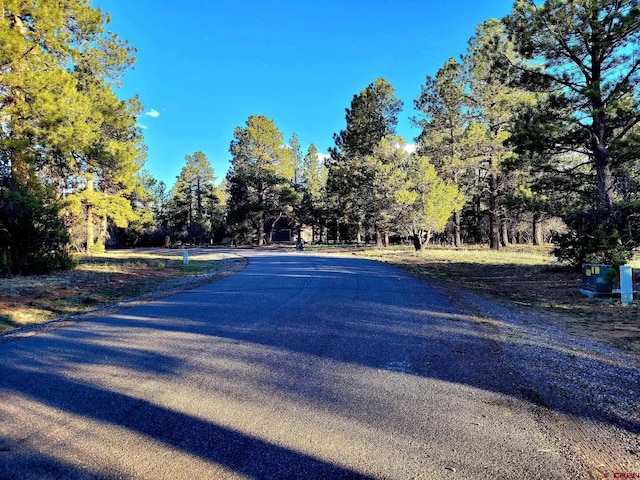 225 Badger Trl, Ridgway, CO 81432
