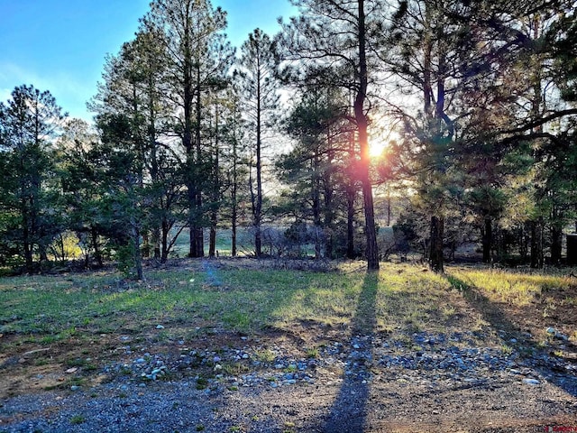 225 Badger Trl, Ridgway, CO 81432