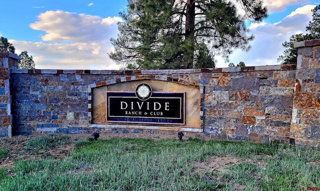 225 Badger Trl, Ridgway, CO 81432