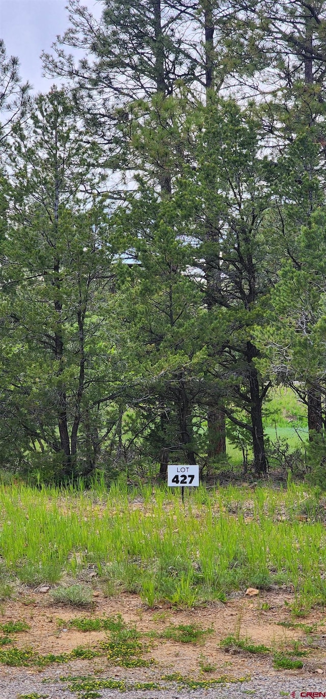 225 Badger Trl, Ridgway, CO 81432