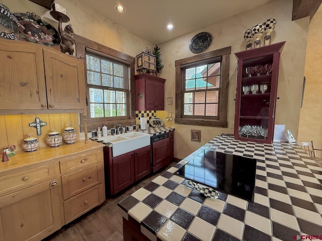 88 Castle Rock Ct, Crested Butte, CO 81224 - kitchen with light countertops, a sink, and recessed lighting