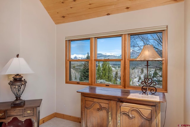 536 Journeys End Rd, Crested Butte, CO 81224 - detailed view of baseboards