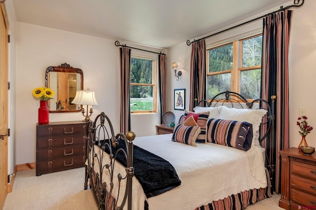 536 Journeys End Rd, Crested Butte, CO 81224 - bedroom featuring light carpet