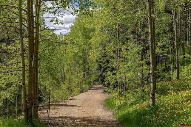 TBD Dolores River Trl, Rico, CO 81332