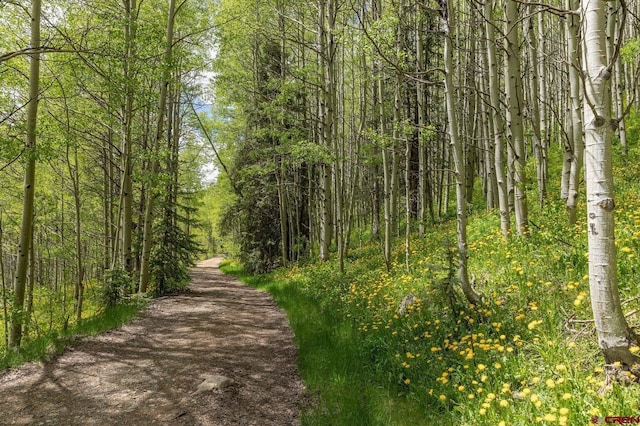TBD Dolores River Trl, Rico, CO 81332