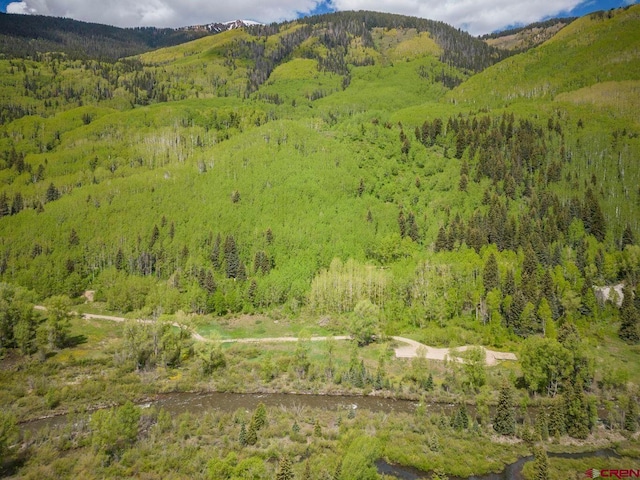 TBD Dolores River Trl, Rico, CO 81332