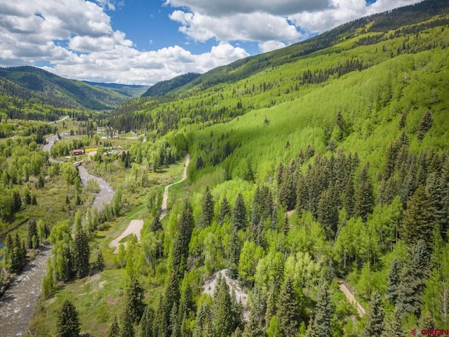 TBD Dolores River Trl, Rico, CO 81332