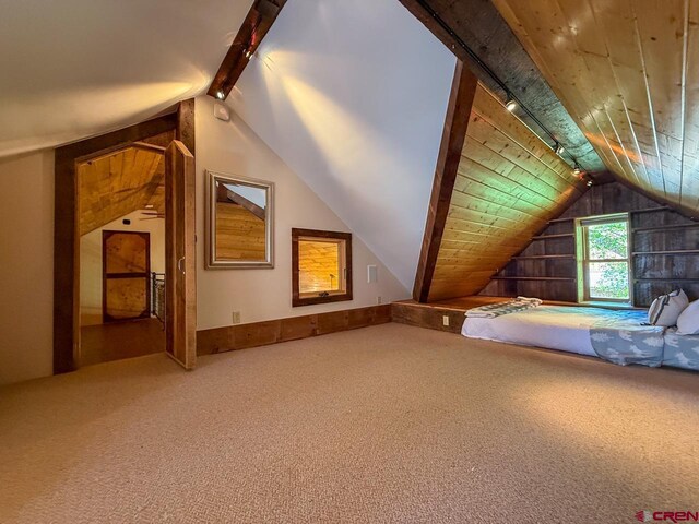 414 Maroon Ave, Crested Butte, CO 81224 - additional living space with carpet, wood walls, and wood ceiling