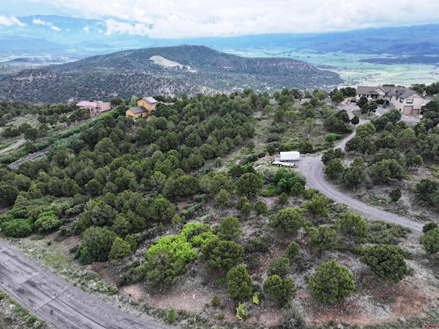 TBD Pine Dr, Ridgway, CO 81432