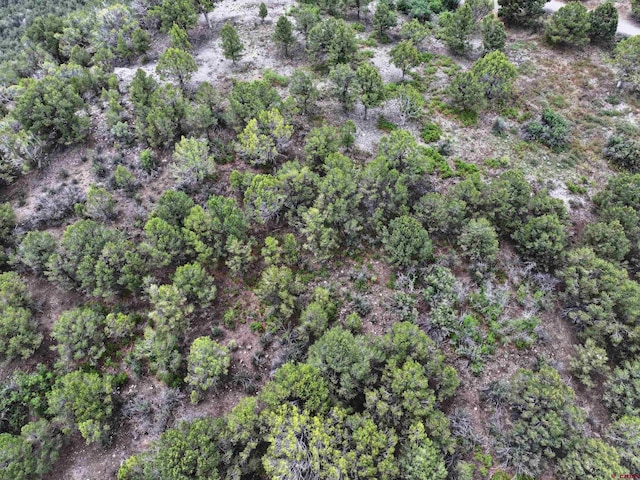 TBD Pine Dr, Ridgway, CO 81432