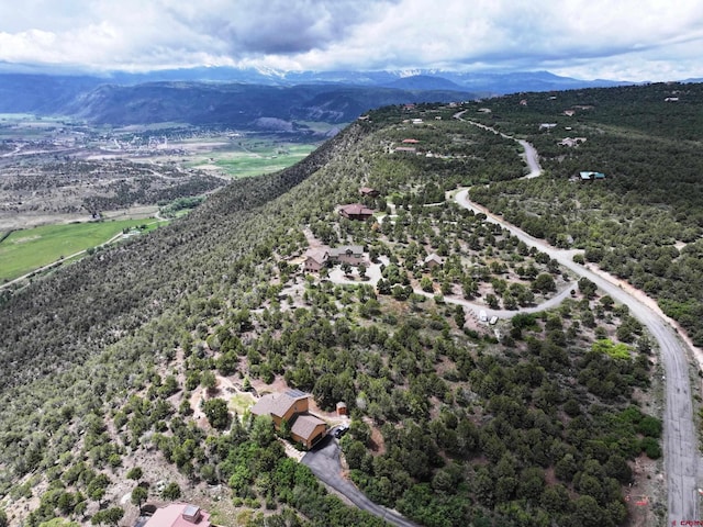 TBD Pine Dr, Ridgway, CO 81432