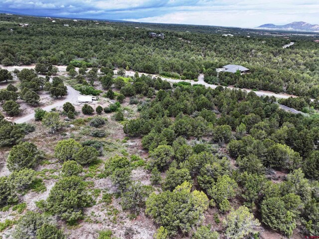 TBD Pine Dr, Ridgway, CO 81432