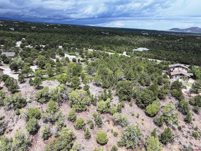 TBD Pine Dr, Ridgway, CO 81432