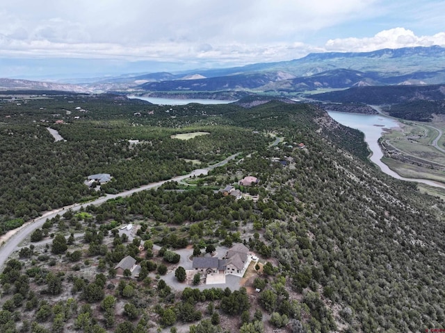 TBD Pine Dr, Ridgway, CO 81432
