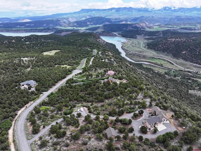 TBD Pine Dr, Ridgway, CO 81432